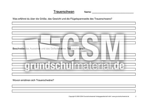 Arbeitsblatt-Trauerschwäne-2.pdf